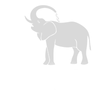 Amatola Water
