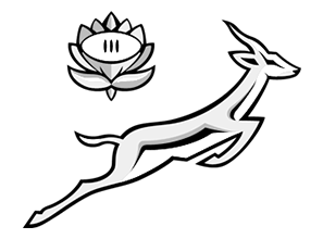 Springbok